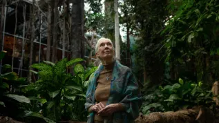 Dr Jane Goodall. 13.12.2018 r. Barcelona (Hiszpania). Fot. PA/ENRIC FONTCUBERTA. Dostawca: PAP/EPA.