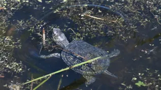12.09.2025 PAP/Piotr Polak