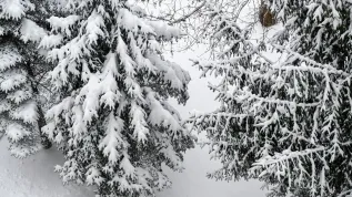 07.01.2026. PAP/Darek Delmanowicz