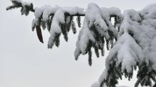 19.11.2022.  PAP/Adam Warżawa