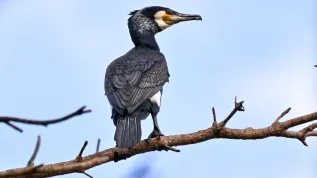 13.04.2025 PAP/Andrzej Jackowski