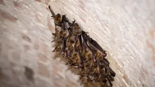 10.08.2013 PAP/Tytus Żmijewski  
