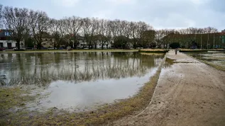 23.02.2026. Zalane Jasne Błonia w Szczecinie. W związku z dodatnią temperaturą rozpoczęły się roztopy. PAP/Marcin Bielecki