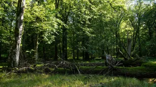 24.09.2025. PAP/ Michał Zieliński