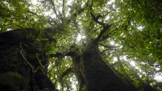 EPA/JEFFREY ARGUEDAS 28.07.2024