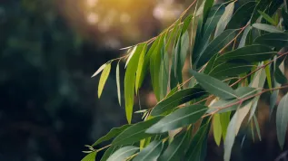Fot. Adobe Stock