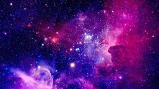 Adobe Stock
