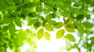 Fot. Adobe Stock