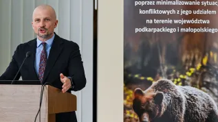 07.07.2026. Podsekretarz stanu w Ministerstwie Klimatu i Środowiska, główny konserwator przyrody Mikołaj Dorożała na konferencji inaugurującej projekt dotyczący ochrony niedźwiedzia brunatnego oraz minimalizowania sytuacji konfliktowych, w siedzibie Regionalnej Dyrekcji Ochrony Środowiska w Rzeszowie, 7 bm. (ad) PAP/Darek Delmanowicz