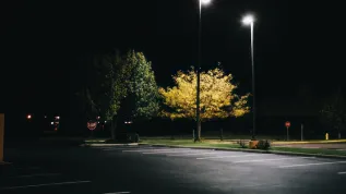 Fot. Adobe Stock