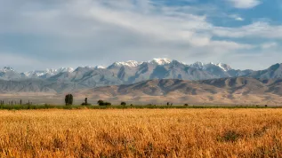 Fot. Adobe Stock