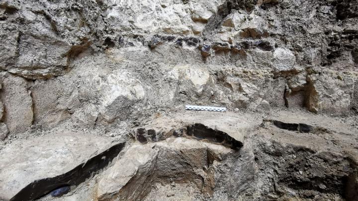 Photo: Magdalena Sudoł-Procyk