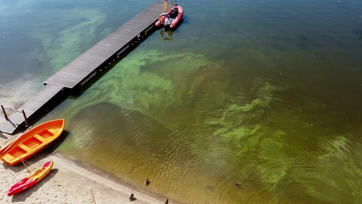 Naukowcy z Poznania opracowali technologię oczyszczania kąpielisk