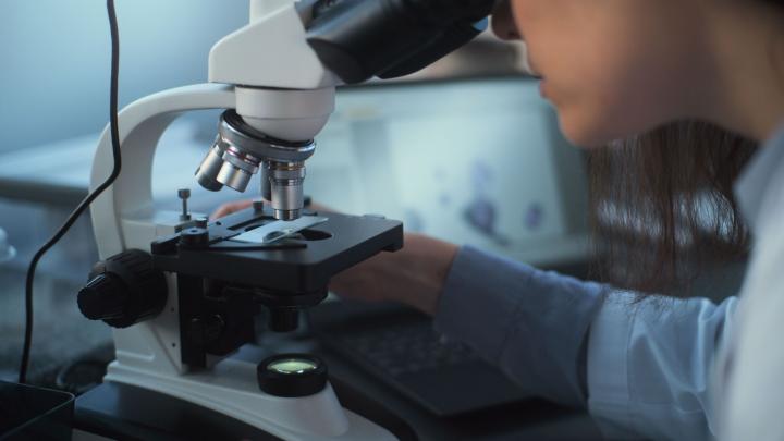 Diagności laboratoryjni z kluczową rolą przy przeszczepach