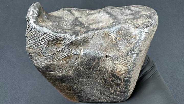 Pod Łodzią odnaleziono nowy meteoryt żelazny; w sobotę ruszą jego badania