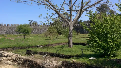 Pierwsze polskie badania archeologiczne w Gruzji odbyły się w Gonio koło Batumi w 2012 roku, w cieniu orzecha. Fot. S. Zdziebłowski