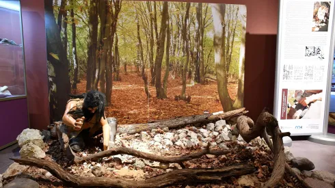 Muzeum archeologiczne i rezerwat "Krzemionki" w Krzemionkach pod Ostrowcem Świętokrzyskim Fot. Piotr. Polak 19.06.2019