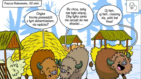 rys. Tomasz Samojlik