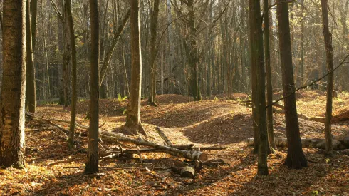 5.	Wczesnośredniowieczne cmentarzysko kurhanowe w uroczysku Szczekotowo. Jesień 2014 r. Fot. D. Krasnodębski