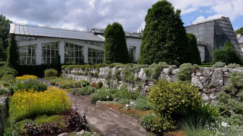 10.07.2014  Ogród Botaniczny Uniwersytetu Jagiellońskiego w Krakowie. PAP/Jacek Bednarczyk