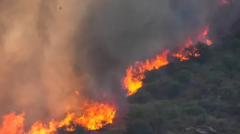 Pożary lasów w Córdobie w Argentynie. Fot. PAP/ EPA/ Lucho Casalla 11.10.2023