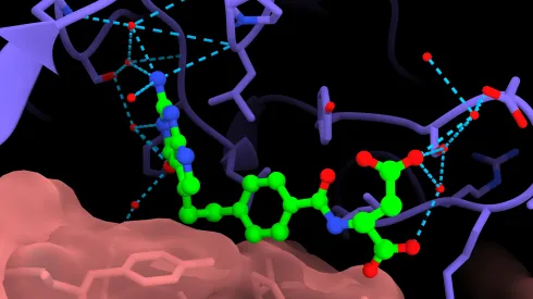 Biologia strukturalna pozwala na racjonalne, a przez to bardziej efektywne, projektowanie leków dzięki dostarczaniu dowodów o sposobie wiązania do białek.  fot. NCPS SOLARIS