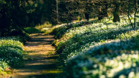 Fot. Adobe Stock