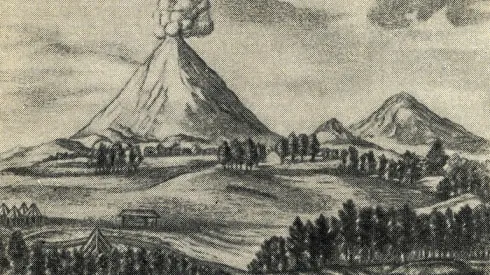 Archiwalka grafika pt. wilkany Kamczatki (Histori Kamczatki, 1755) Adobe Stock