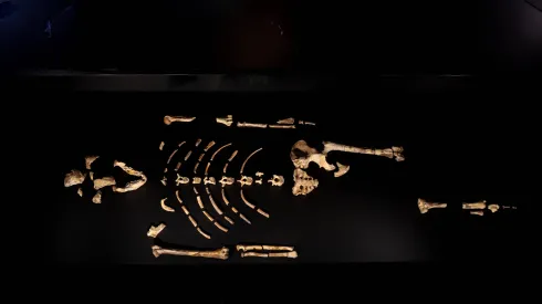 25.08.2025 EPA/MARTIN DIVISEK 