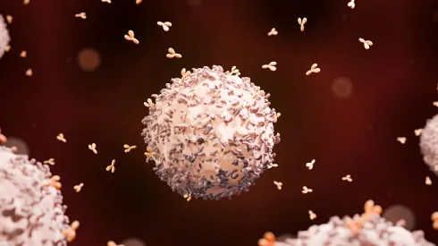 Źródło: Adobe Stock