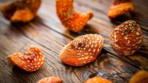 Suszone kapelusze Amanita muscaria, Adobe Stock