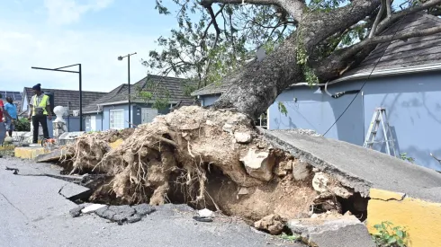 29.10.2025  EPA/Rudolph Brown  