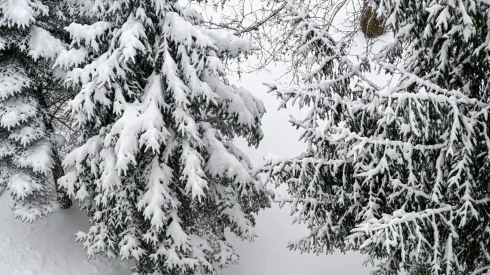 07.01.2026. PAP/Darek Delmanowicz