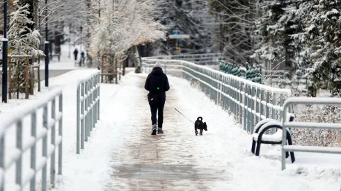 19.11.2024 PAP/Grzegorz Momot 