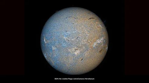 fot. materiały prasowe organizatora