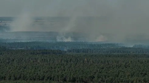 Józefów (pow. biłgorajski), 06.05.2026. Pożar lasu w pow. biłgorajskim, 6 bm. Od wtorkowego popołudnia strażacy walczą z pożarem lasu w pow. biłgorajskim w nadleśnictwie Józefów, który objął ok. 250 ha. W trakcie akcji rozbił się samolot gaśniczy Dromader, w wyniku czego zginął pilot maszyny.  PAP/Wojtek Jargiło