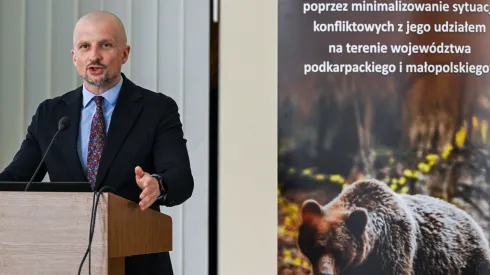 07.07.2026. Podsekretarz stanu w Ministerstwie Klimatu i Środowiska, główny konserwator przyrody Mikołaj Dorożała na konferencji inaugurującej projekt dotyczący ochrony niedźwiedzia brunatnego oraz minimalizowania sytuacji konfliktowych, w siedzibie Regionalnej Dyrekcji Ochrony Środowiska w Rzeszowie, 7 bm. (ad) PAP/Darek Delmanowicz