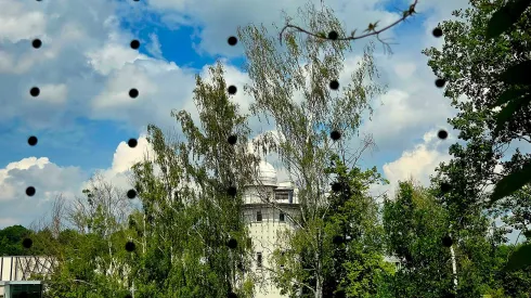 Fot. materiały prasowe UwB