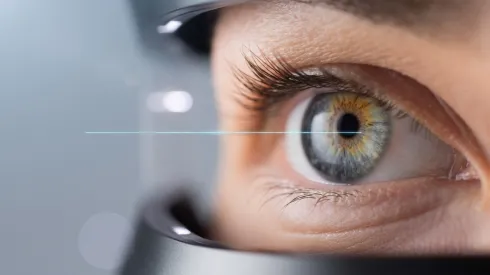 Fot. Adobe Stock