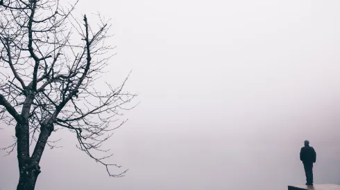 Fot. Adobe Stock