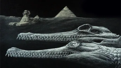 Autor ilustracji Karim Zanaty.
