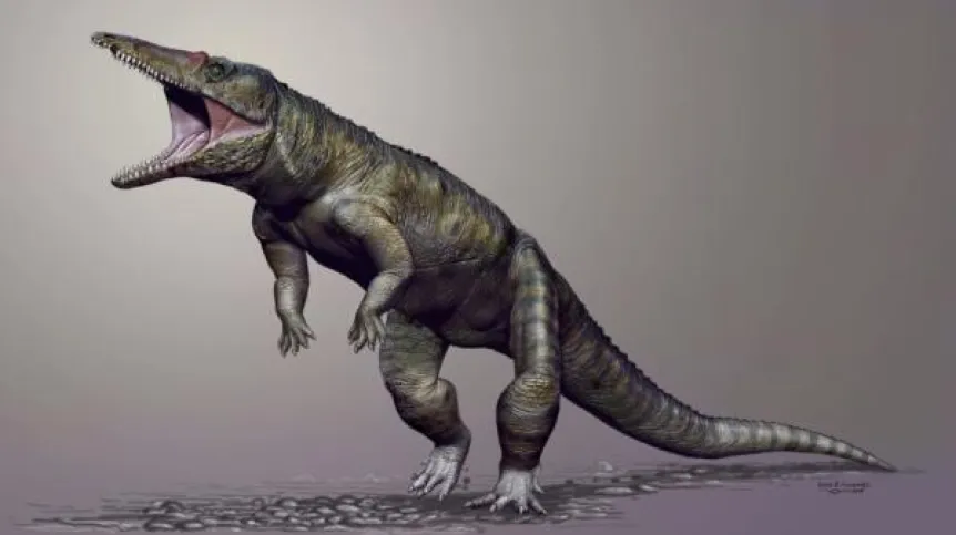 Rekonstrukcja Carnufex carolinensis. Źródło: Jorge Gonzales/news.ncsu.edu.