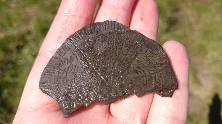 Stone sun disc found during the April survey by students from the Institute of Archaeology of the University of Warsaw. Photo by Marta Bura