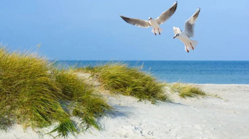 Fot. Fotolia
