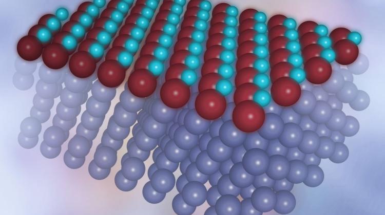Computer visualization of a single layer of a new form of iron oxide on a platinum substrate. Iron atoms in brown, oxygen atoms in light blue. (Source: Institute of Nuclear Physics PAS)