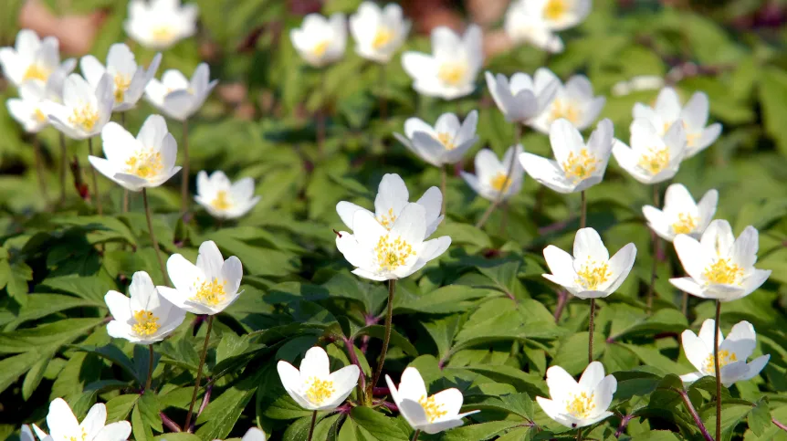 PAP © 2015 / Darek Delmanowicz