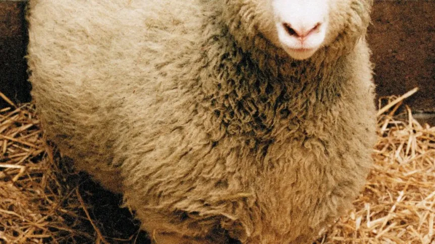 Fot. PAP/EPA 23.02.1997