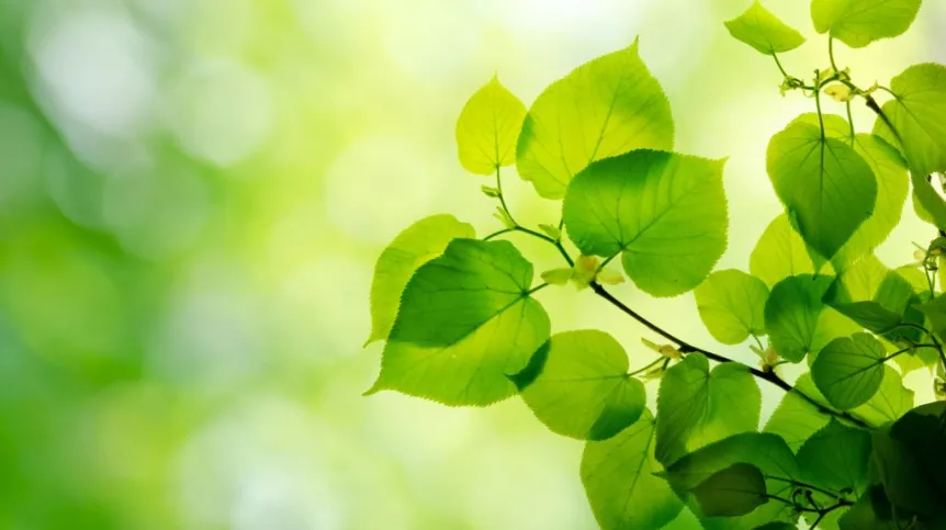 Fot. Fotolia
