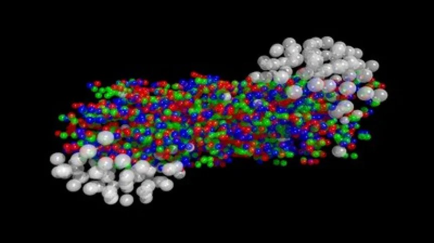Źródło: CERN/Henning Weber; Plazma kwarkowo-gluonowa w LHC powstaje, gdy nadlatujące z przeciwnych kierunków jądra ołowiu (tu w kolorze białym) zderzają się ze sobą. Uwolnione kwarki (w kolorach czerwonym, zielonym i niebieskim) oraz gluony formują strugę wzdłuż pierwotnego kierunku lotu jąder. Jej zachowanie najdokładniej opisuje hydrodynamika anizotropowa, tworzona przez fizyków z Instytutu Fizyki Jądrowej PAN w Krakowie. 