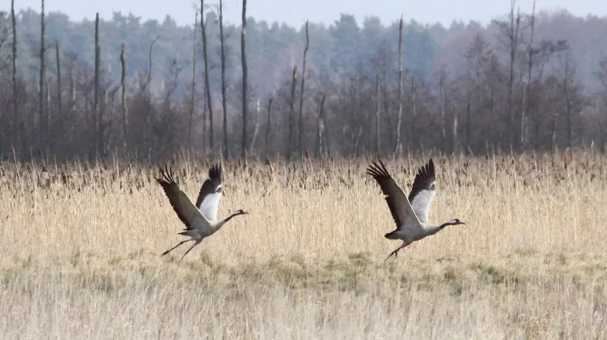 Fot. PAP/ Jerzy Undro 28.03.2009